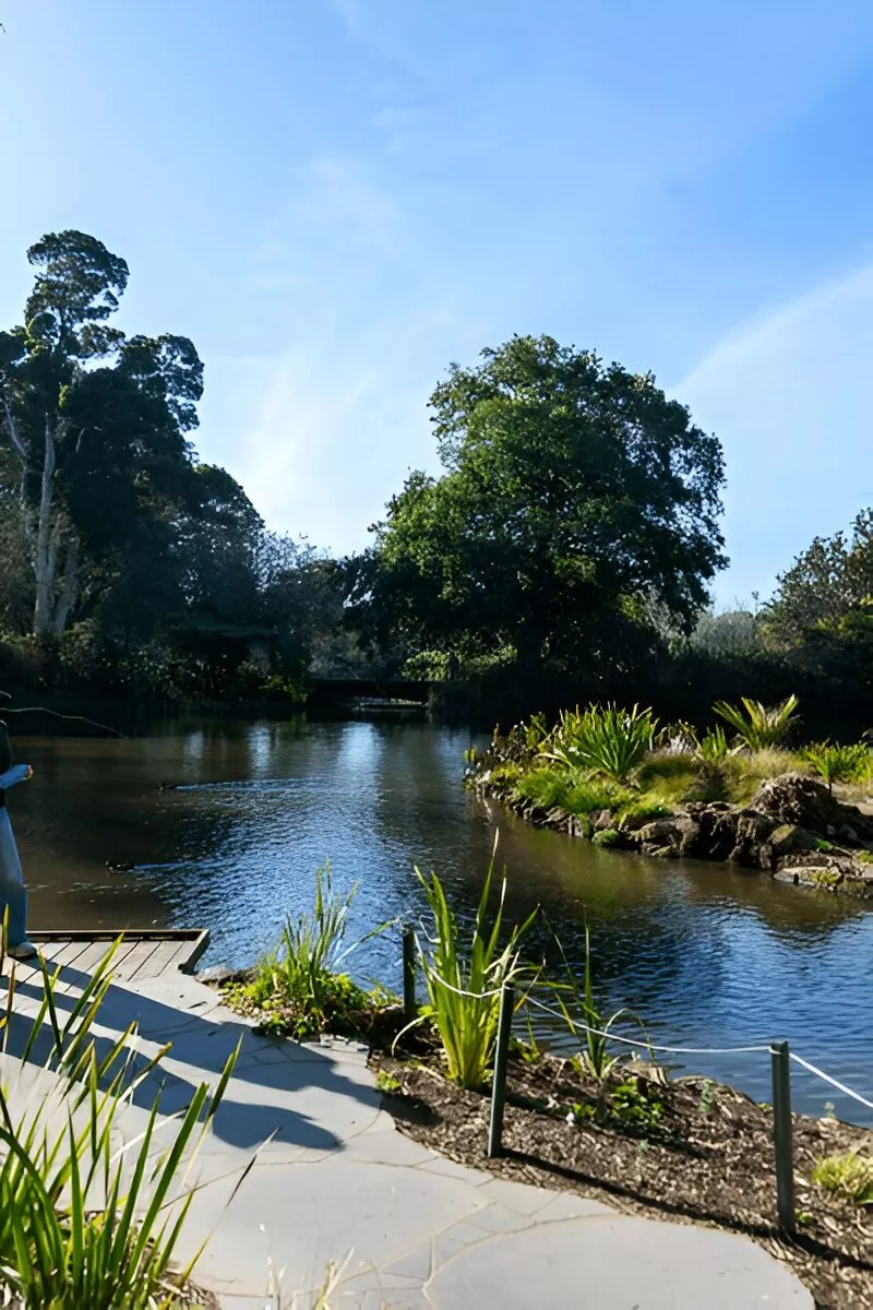 daytours-693848062caf3 Day Tours