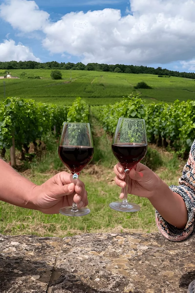 winerytours-6938480761ae1 Winery Tour